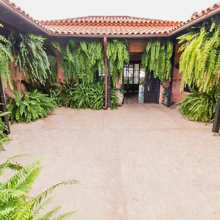 Tara Alcala (Tenerife)