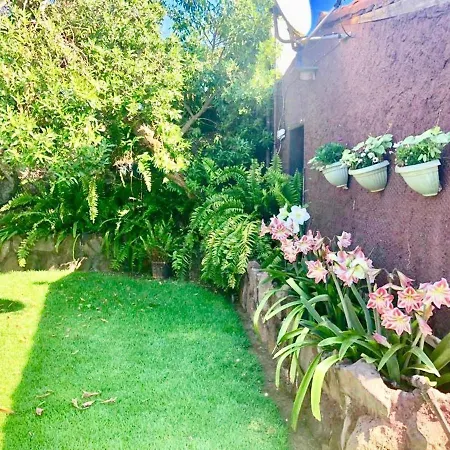 Tara Alcala (Tenerife)